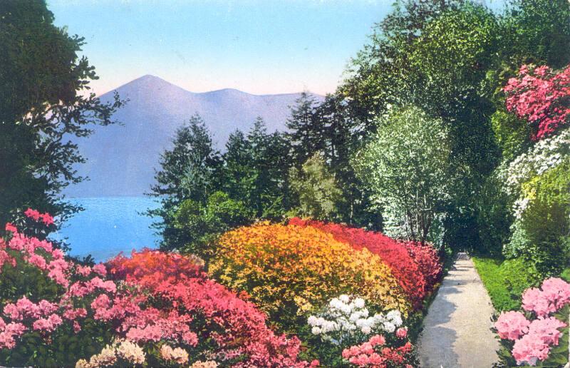 Garden at Lake Como 