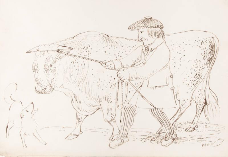 A shepherd pulling his bull