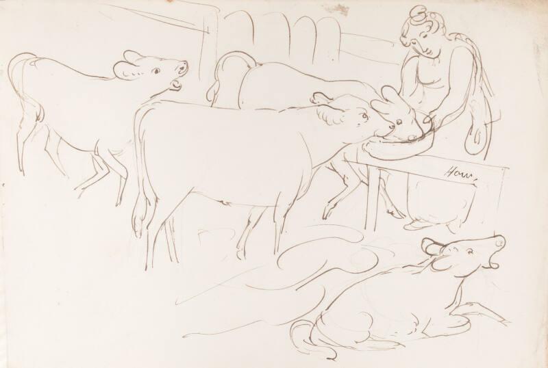 A Woman Feeding The Cattle