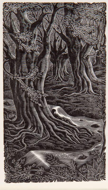 The Beechwood, From Gray's "Elegy