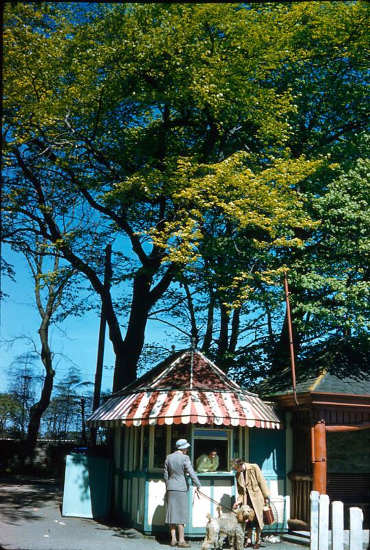 Kiosk at Hazlehead Park Bus Terminus photograhed by Alexander Dunbar Cruickshank