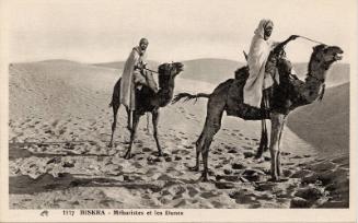 Biskra - Two men on camels in the desert 