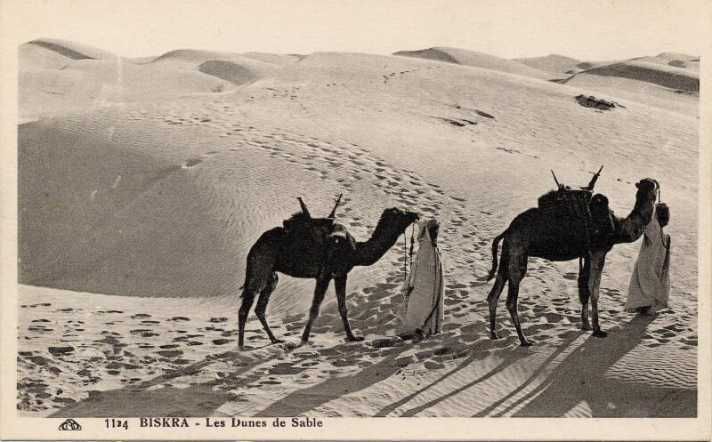 Biskra - Two men with camels in the desert