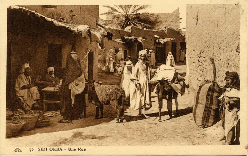 Sidi Okba - Street scene with people and animals 