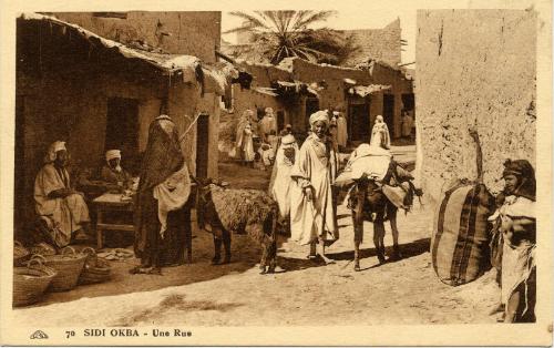 Sidi Okba - Street scene with people and animals 