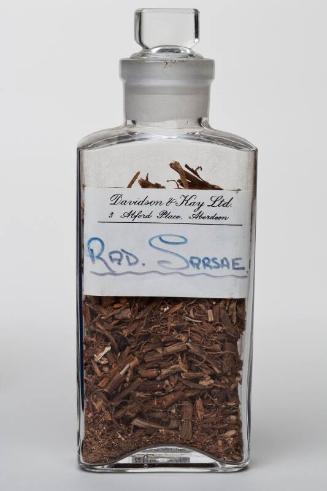 Clear Glass Shop Square RAD. SARSAE.