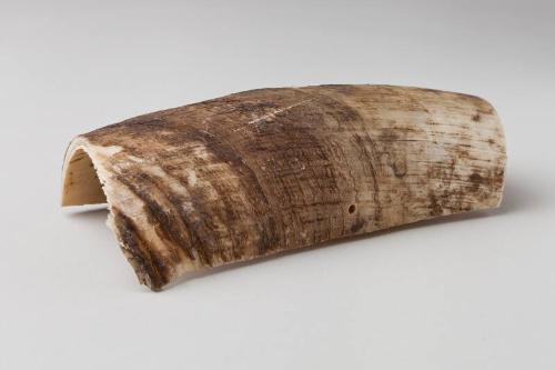 Rough Ox Horn Piece