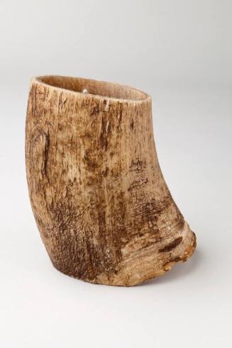 Rough Ox Horn Piece