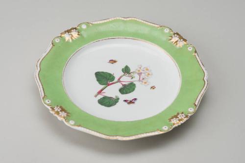 Green And Floral Plate
