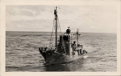 Black and white photograph of whaling scene "whaler"