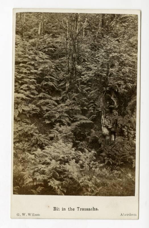 Carte de Visite of a Bit of the Trossachs