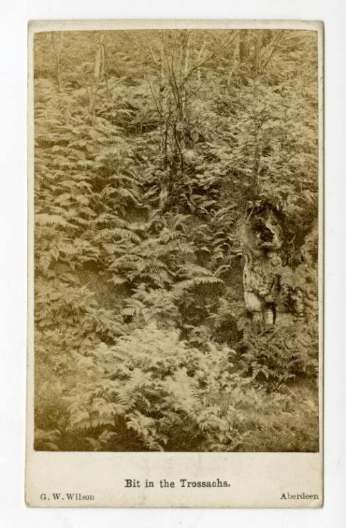 Carte de Visite of a Bit of the Trossachs