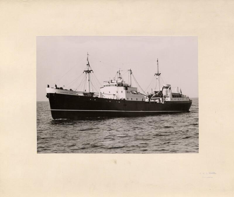 Photograph of 'Caledonian Coast'