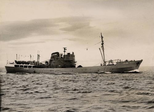Black and white photograph showing starboard side view the trawler Red Hackle