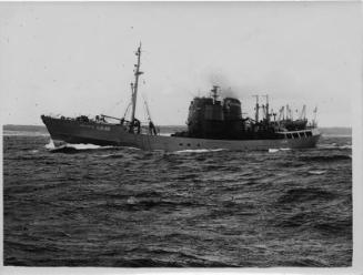 Black and white photograph showing port side view of the trawler Red Rose
