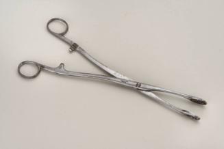 Forceps for the Treatment of Haemorrhoids (ABDUA:37148)