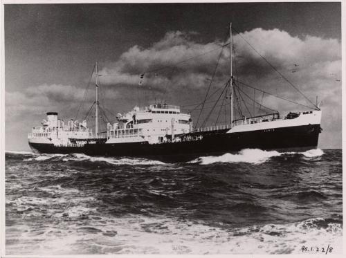 black and white photograph of M.V. 'Auris'