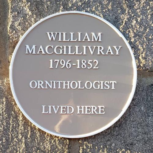 William MacGillivray