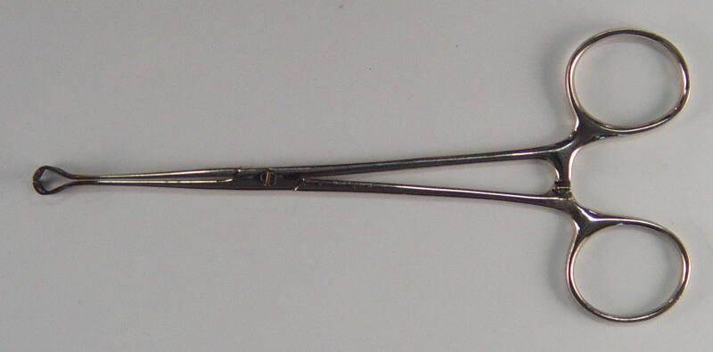 Babcock's Tissue Forceps 