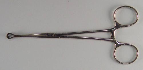 Babcock's Tissue Forceps 