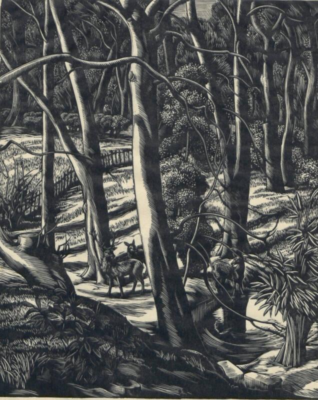 The Edge of the Wood