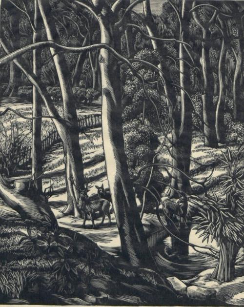 The Edge of the Wood