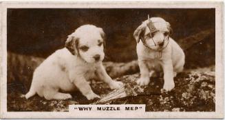 J Millhoff & Co Cigarette Cards: 'De Reszke' Series of Real Photographs - Why Muzzle Me? 
