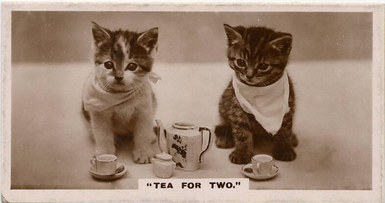 J Millhoff & Co Cigarette Cards: 'De Reszke' Series of Real Photographs - Tea For Two 
