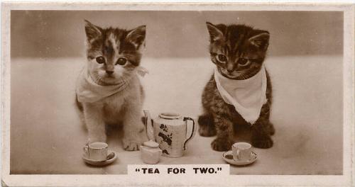 J Millhoff & Co Cigarette Cards: 'De Reszke' Series of Real Photographs - Tea For Two 
