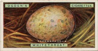 Ogden's Cigarette Cards: Bird's Eggs Series - Whitethroat's Egg 
