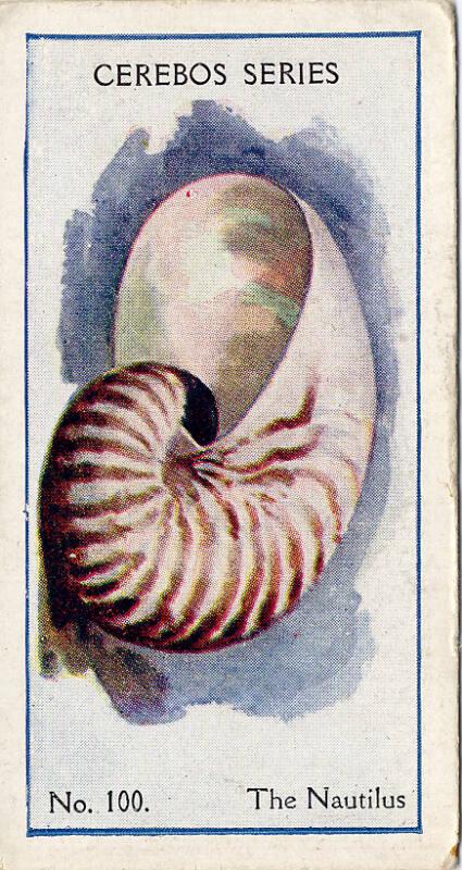 Cerebos Series Cards: Sea Shells - The Nautilus 