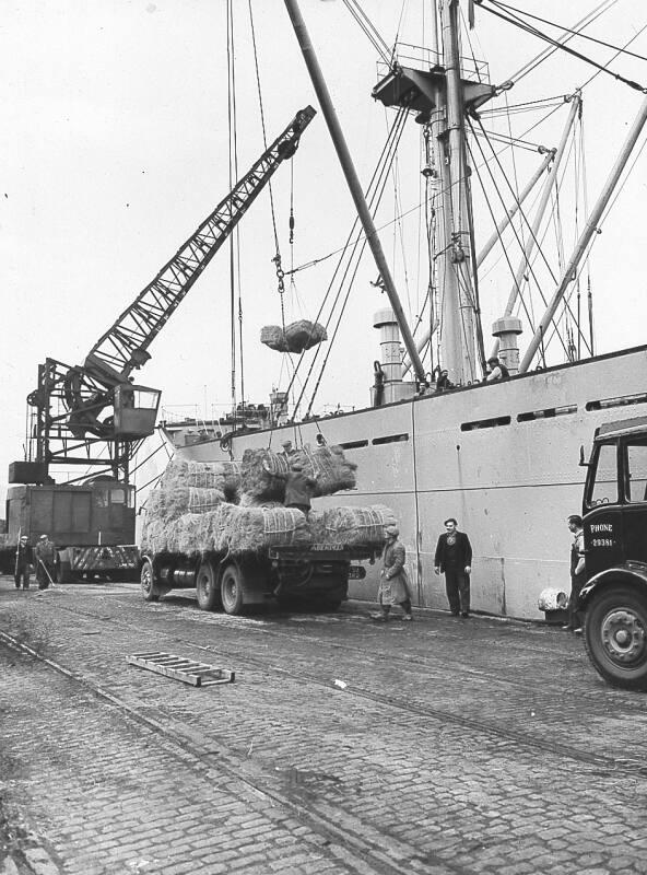 Esparto Grass Being Unloaded Aberdeen Harbour