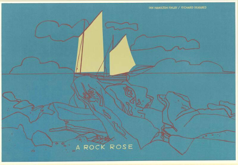 A Rock Rose