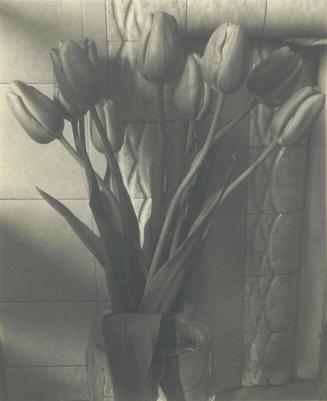 Sandi's Tulips