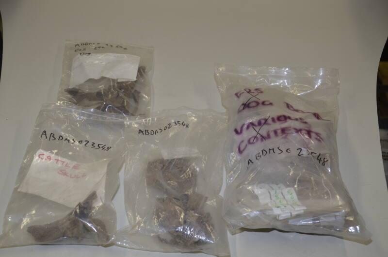 E25 1 Box Animal Bone From Various Sites