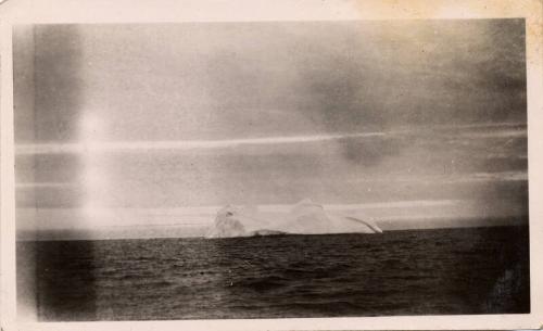 "Flying Family" Photos from Album