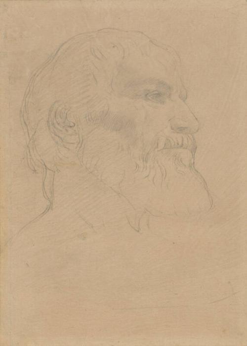 Head of a Man - facing right