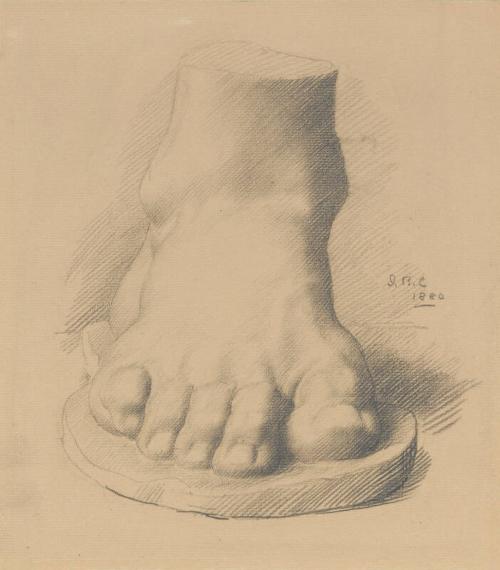 Study of a Cast of a Foot