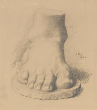 Study of a Cast of a Foot