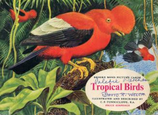 Brooke Bond Picture Cards: Tropical Birds 