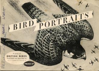 Brooke Bond Picture Cards: Bird Portraits