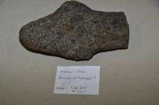 Stone Object Possibly Digging Implement