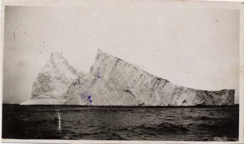 "Flying Family" Photos from Album