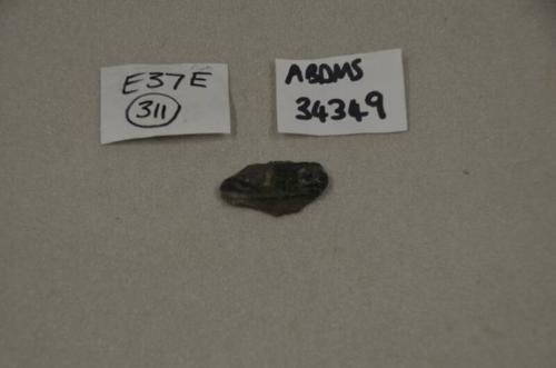 E37 Low Countries Highly Decorated Ware Body Sherd