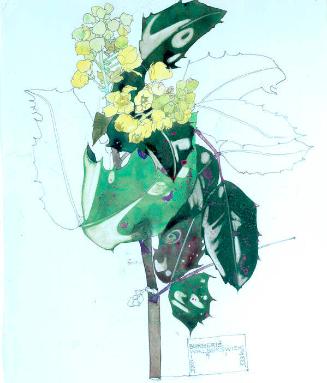 Berberis, Walberswick by Charles Rennie Mackintosh