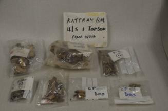 Rattray, Unstratified/Topsoil Bone, 1 Box