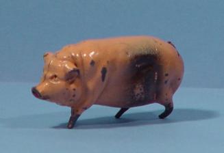 Model Pig