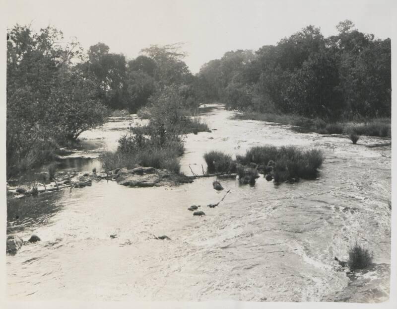 105. River LUAU. Natural frontier between Angolan and Belgian Congo