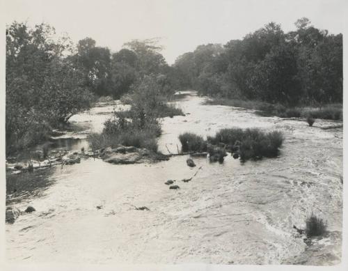 105. River LUAU. Natural frontier between Angolan and Belgian Congo