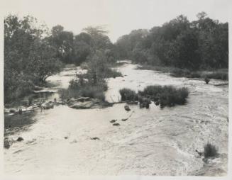 105. River LUAU. Natural frontier between Angolan and Belgian Congo